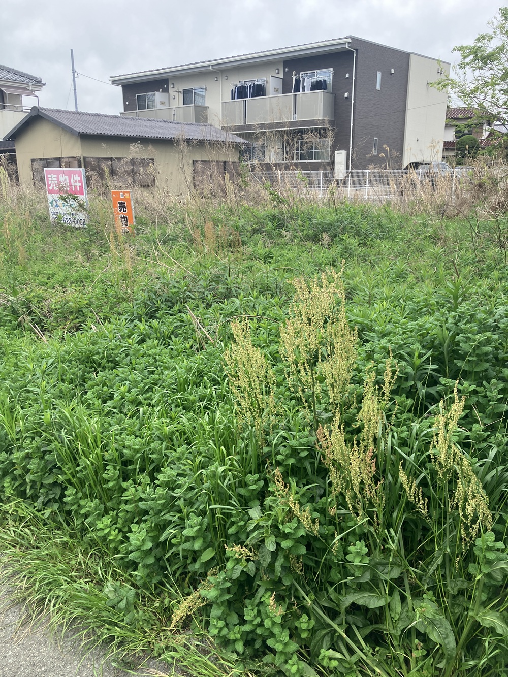 住宅用地